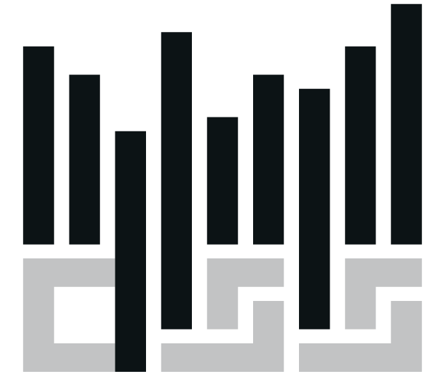 Identité visuelle | Data Science Santé (DSS)