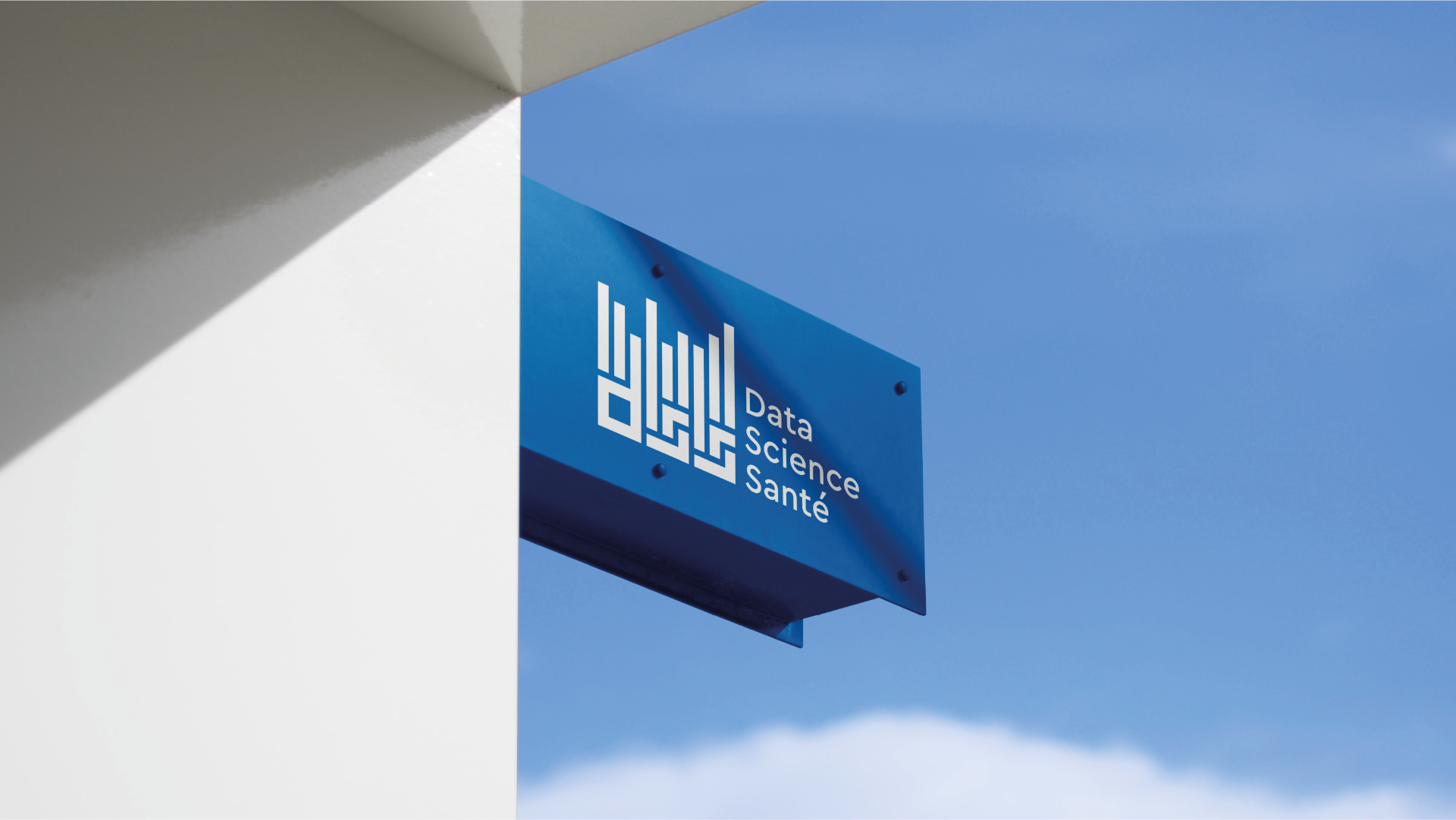 Application du logo DSS sur une enseigne professionnelle