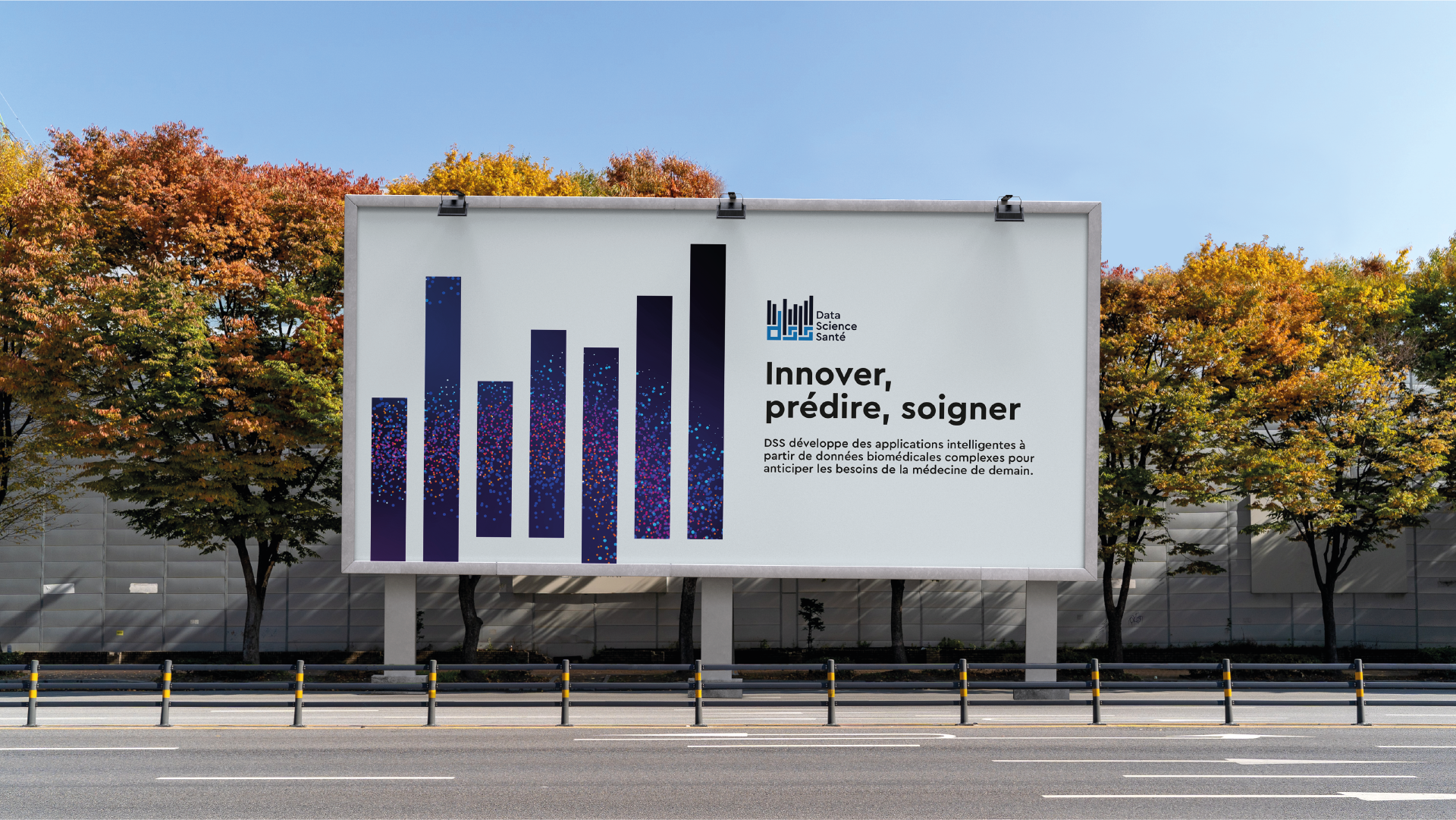 Application du logo DSS sur une enseigne professionnelle