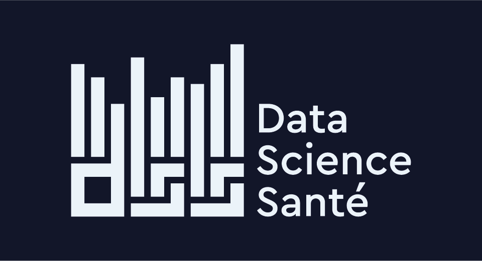 Identité visuelle | Data Science Santé (DSS)