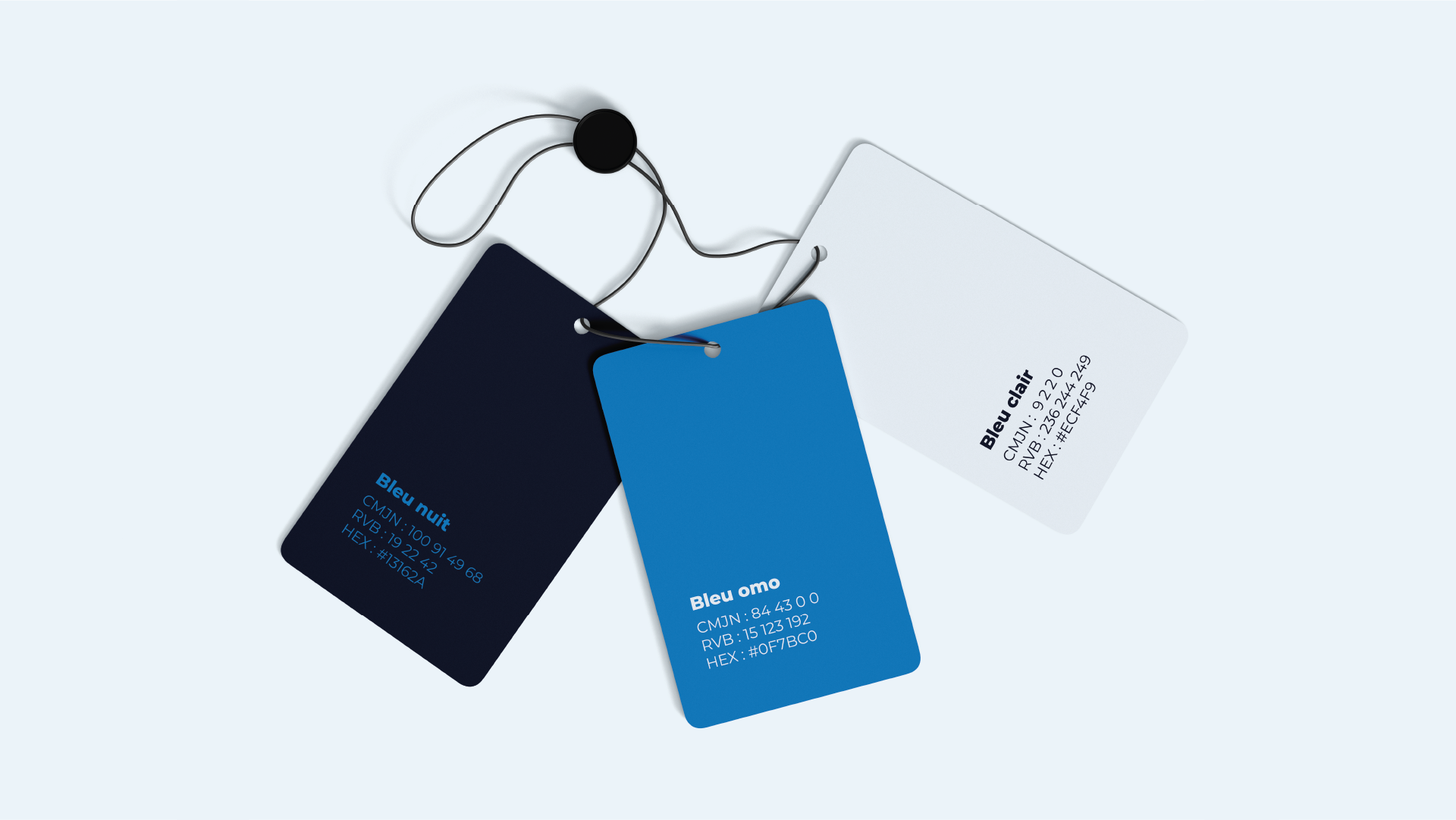 Identité visuelle | Data Science Santé (DSS)